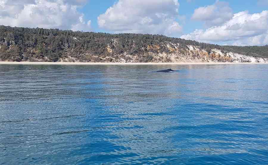 Fraser Island 