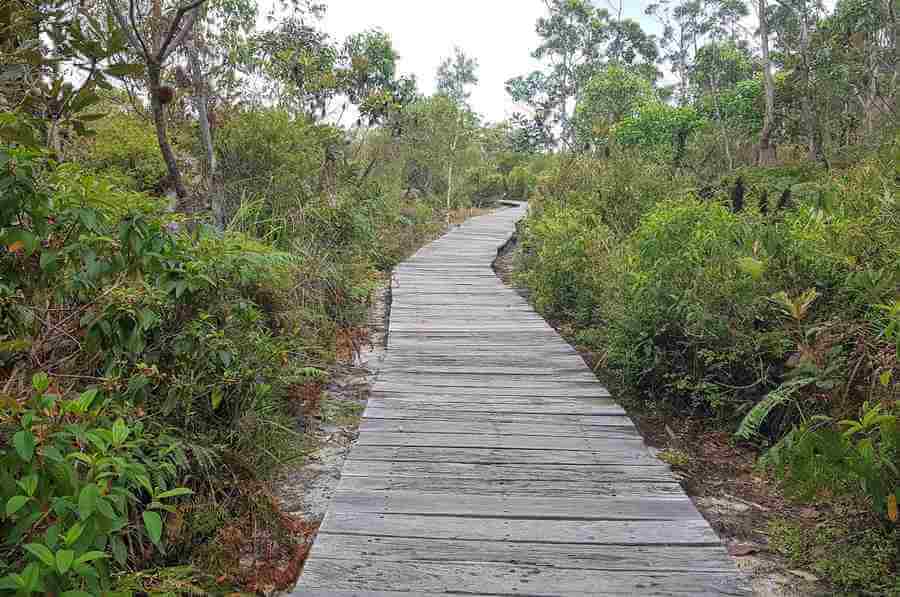 Top 5 Beach Walking Tracks in Australia