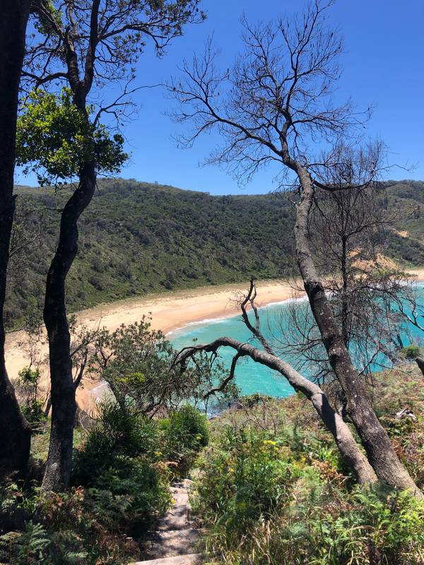 How Many Beaches Are In Australia? World Famous Beaches