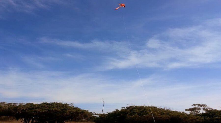 Flying Kites at the Beach