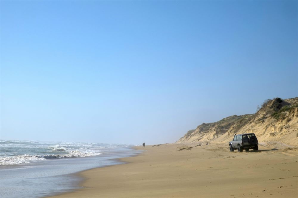 Coorong beach