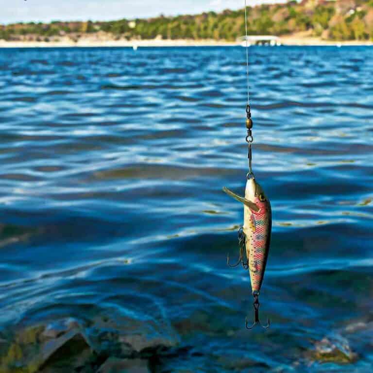 Best Bait For Beach Fishing Queensland