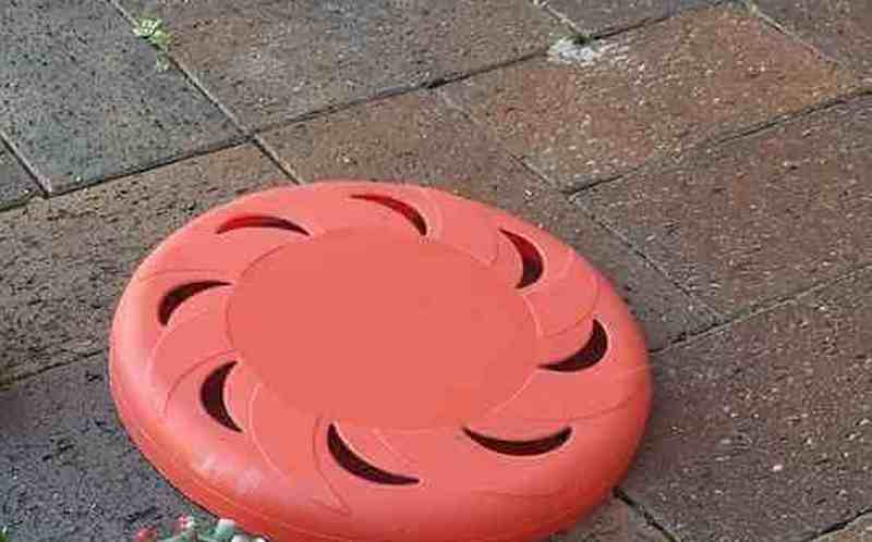 Frisbee toy