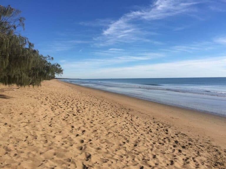 What Is There To Do At Moore Park Beach?
